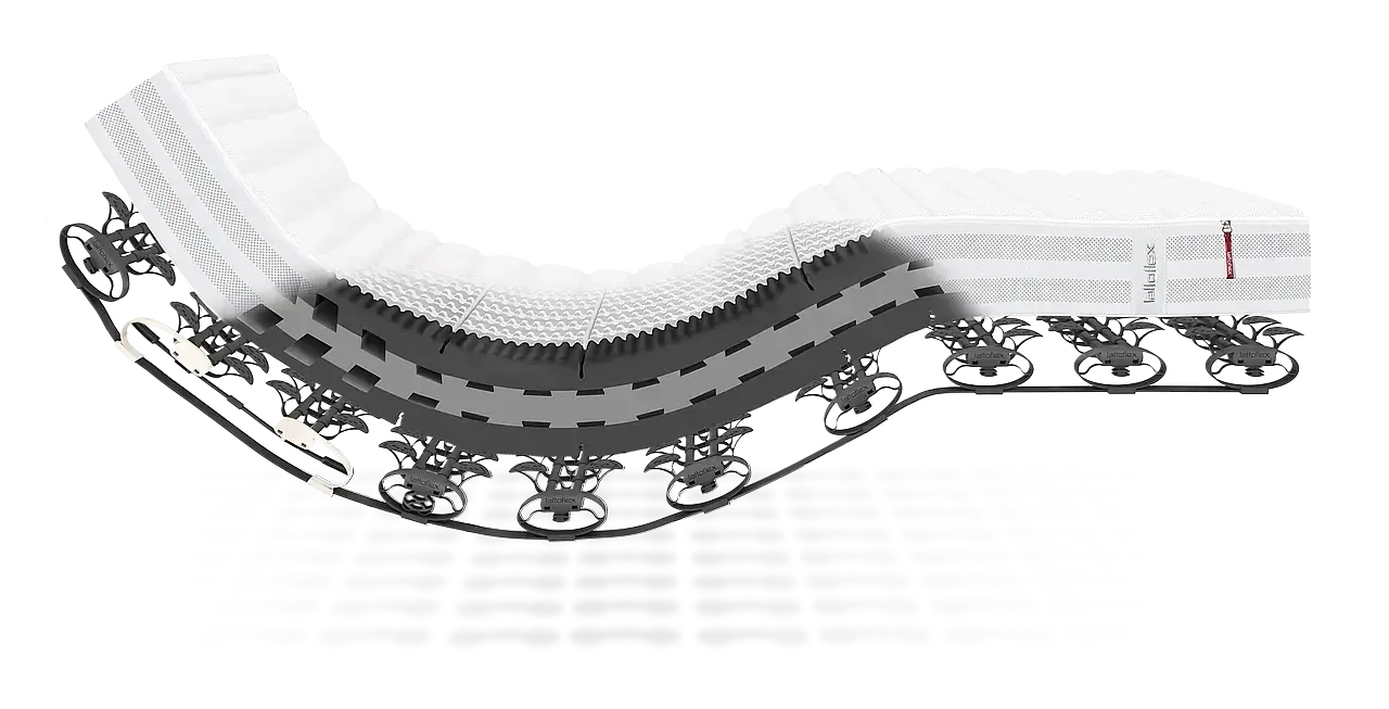 Lattoflex-System-900